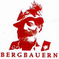 BERGBAUERN