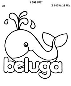 beluga