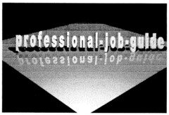 professional-job-guide