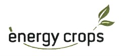 energy crops