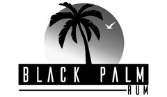 BLACK PALM RUM