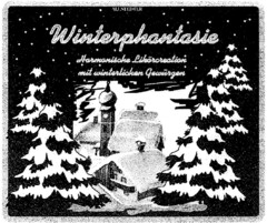 Winterphantasie