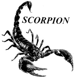 Scorpion