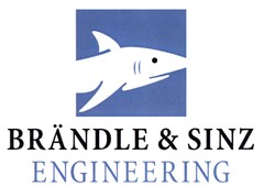 BRÄNDLE & SINZ ENGINEERING