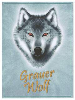 Grauer Wolf