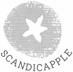 SCANDICAPPLE