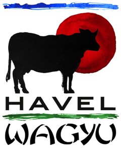 HAVEL WAGYU