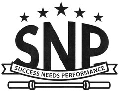 SNP SUCCESS NEEDS PERFORMANCE