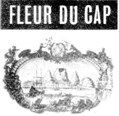 FLEUR DU CAP