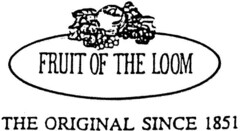 FRUIT OF THE LOOM