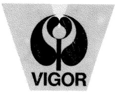 VIGOR