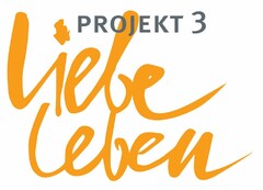 PROJEKT 3 Liebe leben