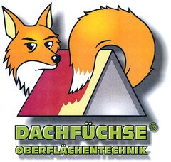 DACHFÜCHSE OBERFLÄCHENTECHNIK