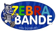 ZEBRA BANDE MSV DUISBURG