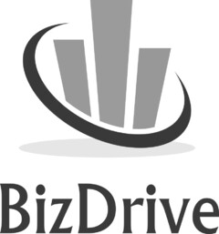 BizDrive