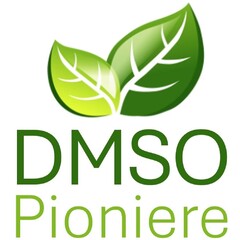 DMSO Pioniere