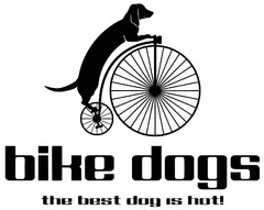 bike dogs the best dog is hot!