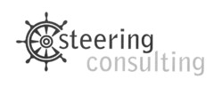 steering consulting