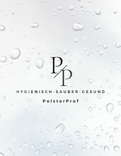 P/P HYGIENISCH-SAUBER-GESUND PolsterProf