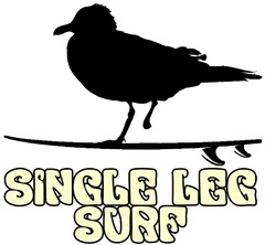 SINGLE LEG SURF