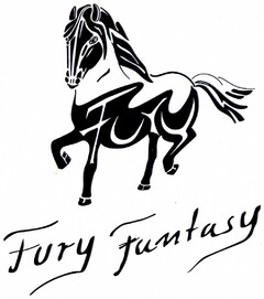 Fury Fury Fantasy