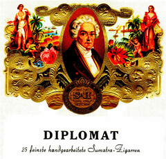DIPLOMAT 25 feinste handgearbeitete Sumatra-Zigarren