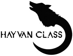 HAY VAN CLASS