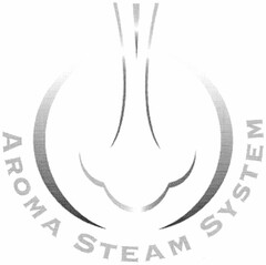 AROMA STEAM SYSTEM