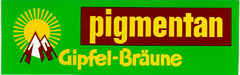 pigmentan Gipfel-Bräune