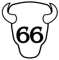 66