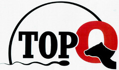 TopQ