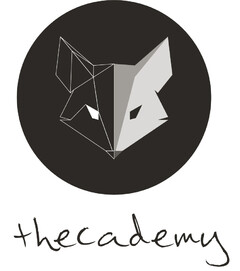 thecademy