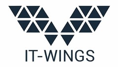 IT-WINGS