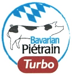 Bavarian Piétrain Turbo