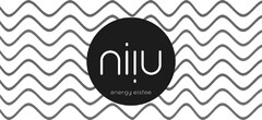 niiu energy eistee