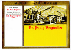 Dr. Pauly-Bergweiler