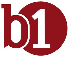 b1