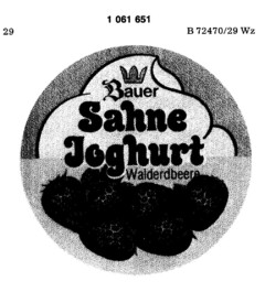 Bauer Sahne Joghurt Waldbeeren