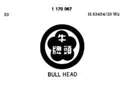 BULL HEAD