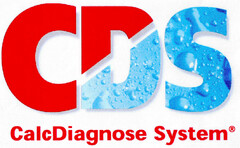 CDS CalcDiagnose System