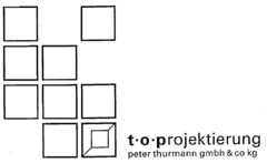 t.o.projektierung peter thurmann gmbh & co kg