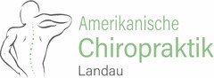 Amerikanische Chiropraktik Landau