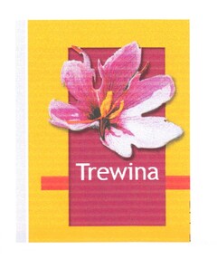 Trewina