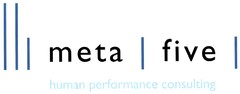 meta five human performance consulting