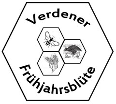 Verdener Frühjahrsblüte