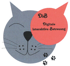 DiB Digitale interaktive Bereuung