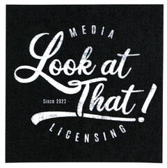 Look at That! MEDIA LICENSING SINCE 2023