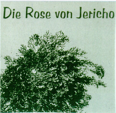 Die Rose von Jericho