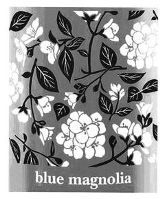 blue magnolia