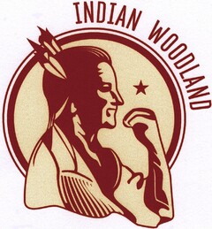 INDIAN WOODLAND